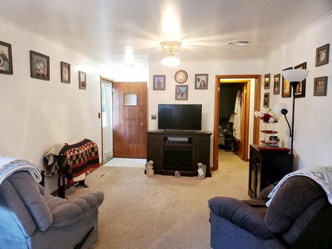 307 E Fine St, Ashkum, IL 60911 photo 6