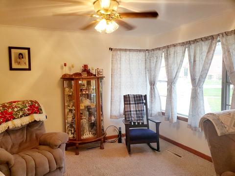 307 E Fine St, Ashkum, IL 60911 photo 7
