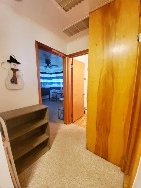 307 E Fine St, Ashkum, IL 60911 photo 22