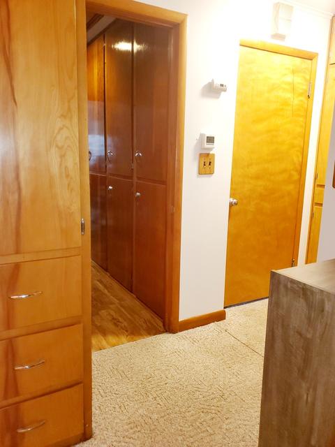 307 E Fine St, Ashkum, IL 60911 photo 17