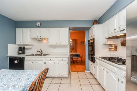 541 Dulles Rd, Des Plaines, IL 60016 photo 10
