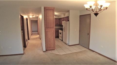162 Saenz Ln #C, Joliet, IL 60436 photo 6