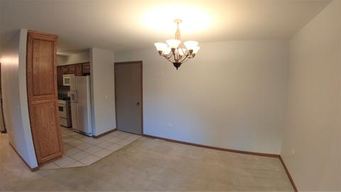162 Saenz Ln #C, Joliet, IL 60436 photo 7