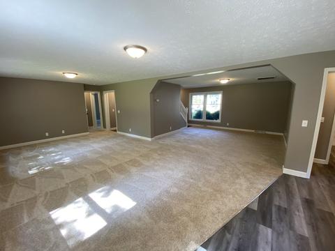 353 Oak St, Braidwood, IL 60408 photo 18