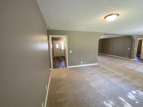 353 Oak St, Braidwood, IL 60408 photo 7