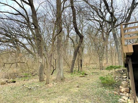1006 Oak Ln, Algonquin, IL 60102 photo 13