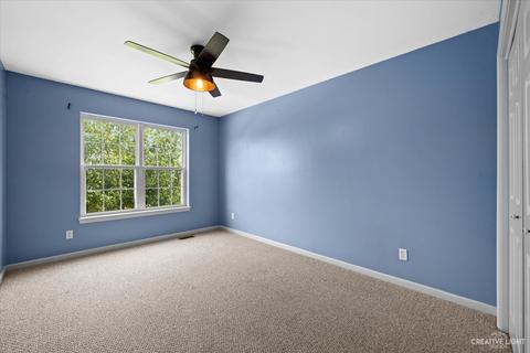 39 W180 E Mallory Dr, Geneva, IL 60134 photo 19