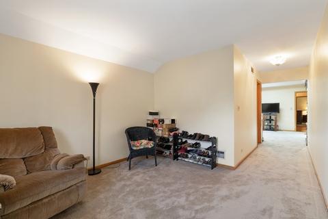20112 Mohawk Trl, Olympia Fields, IL 60461 photo 19