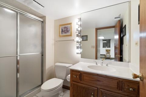 20112 Mohawk Trl, Olympia Fields, IL 60461 photo 28