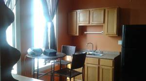 7311 S Champlain Ave, Chicago, IL 60619 photo 14