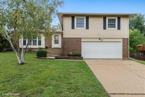 315 Grandview Ct, Algonquin, IL 60102 photo 1