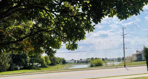 1302 W Windsor Rd, Champaign, IL 61821 photo 47