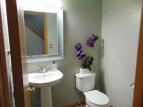4126 Oak Tree Ln, Plainfield, IL 60544 photo 6