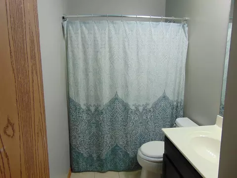 4126 Oak Tree Ln, Plainfield, IL 60544 photo 7