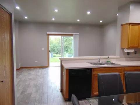 4126 Oak Tree Ln, Plainfield, IL 60544 photo 5
