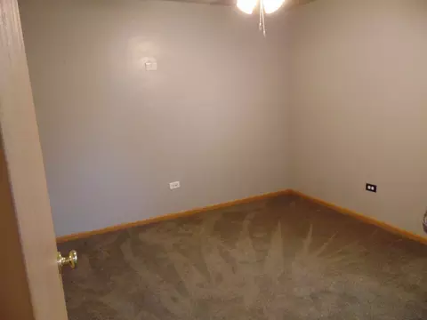 4126 Oak Tree Ln, Plainfield, IL 60544 photo 10