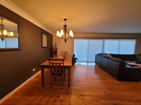 165 S Forest Ave, Hillside, IL 60162 photo 5
