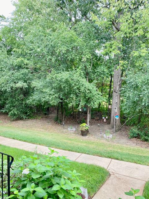 2621 N Augusta Dr, Wadsworth, IL 60083 photo 13