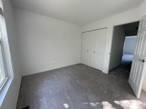 3929 Blackstone Dr, Aurora, IL 60504 photo 13