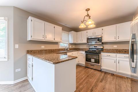 17026 Danielle Ct, Oak Forest, IL 60452 photo 17