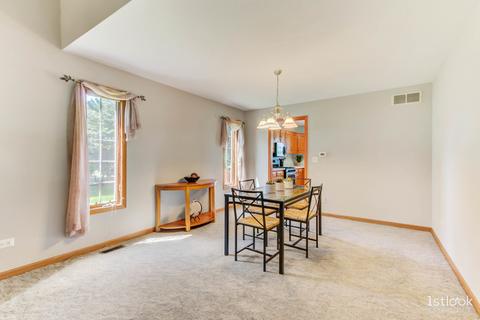 25113 Vermette Rd, Plainfield, IL 60585 photo 8