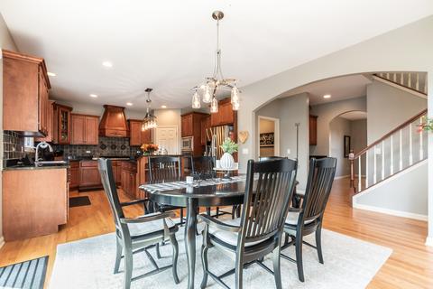25207 Round Barn Rd, Plainfield, IL 60585 photo 10