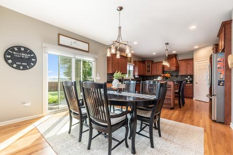 25207 Round Barn Rd, Plainfield, IL 60585 photo 9