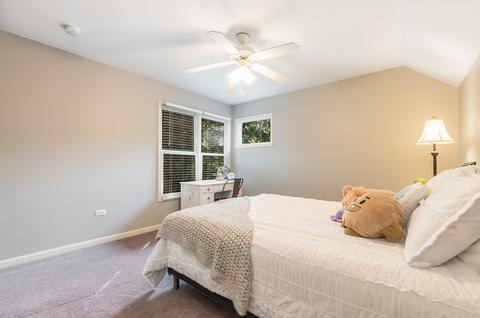 25207 Round Barn Rd, Plainfield, IL 60585 photo 29