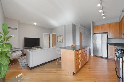 41 E 8th St #1605, Chicago, IL 60605 photo 4