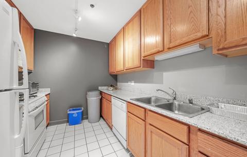 41 E 8th St #1605, Chicago, IL 60605 photo 14