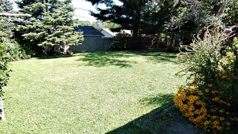 205 Hereford Ave, Steger, IL 60475 photo 23