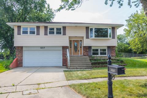 1217 Tulip Ln, Bartlett, IL 60103 photo 1