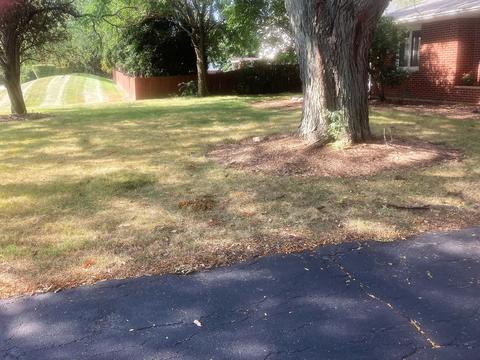 13708 S Naperville Rd, Plainfield, IL 60544 photo 20