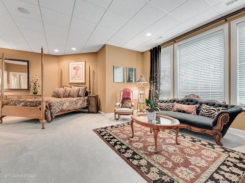 20 Ashton Dr, Burr Ridge, IL 60527 photo 43
