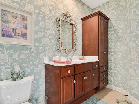 20 Ashton Dr, Burr Ridge, IL 60527 photo 33