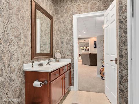 20 Ashton Dr, Burr Ridge, IL 60527 photo 44