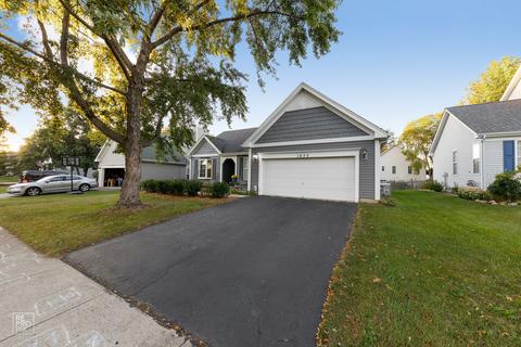 1675 Mcdowell Ave, Aurora, IL 60504 photo 1