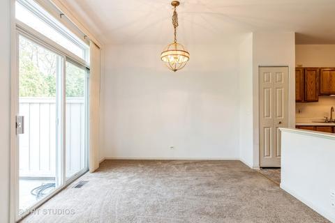 2132 Glacier Ct, Algonquin, IL 60102 photo 6
