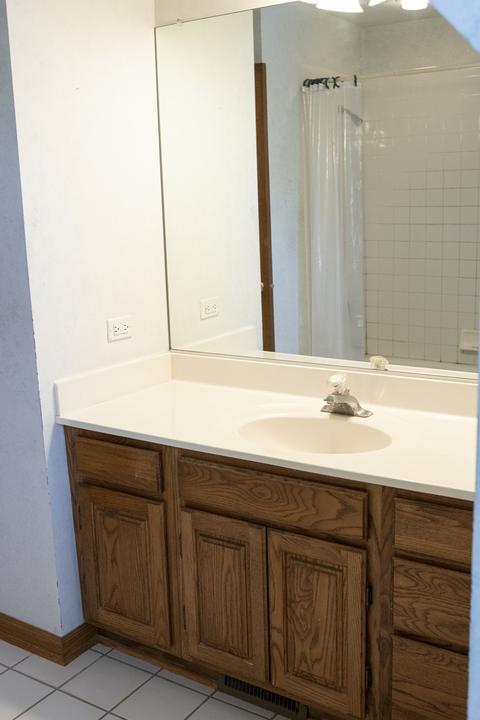 24210 W Aster Ct, Plainfield, IL 60585 photo 23