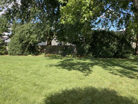 210 Columbia Dr, Normal, IL 61761 photo 5