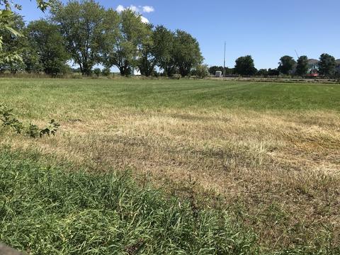 24715 S Eastern Ave, Manhattan, IL 60442 photo 8