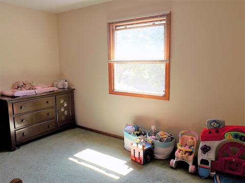 25101 W Willow Dr, Plainfield, IL 60544 photo 21
