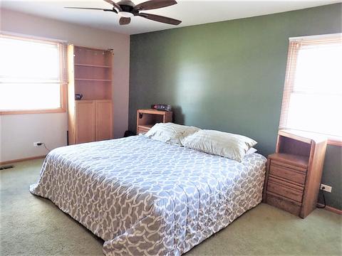 25101 W Willow Dr, Plainfield, IL 60544 photo 13