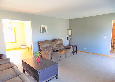 25101 W Willow Dr, Plainfield, IL 60544 photo 12