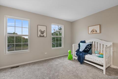 6309 Southridge Dr, Plainfield, IL 60586 photo 18