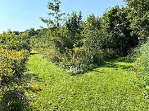 17301 Obrien Rd, Harvard, IL 60033 photo 4
