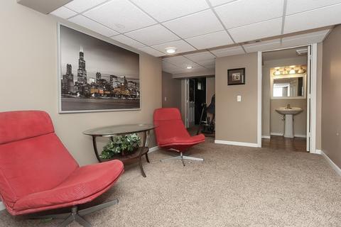 705 Carol Ave, Elgin, IL 60123 photo 23