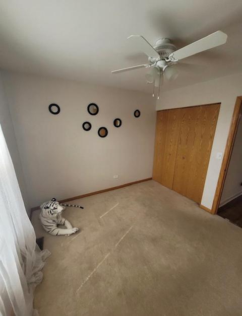 5128 New Haven Ct, Plainfield, IL 60586 photo 15