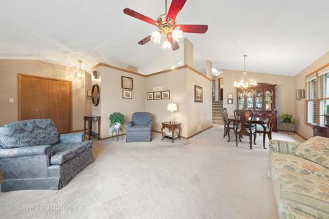 19349 Emerald Ct, Mokena, IL 60448 photo 5