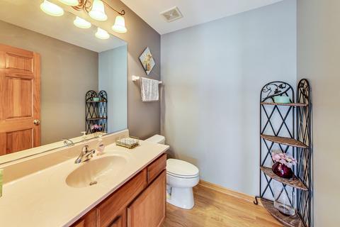 13415 Summergrove Dr, Plainfield, IL 60585 photo 47